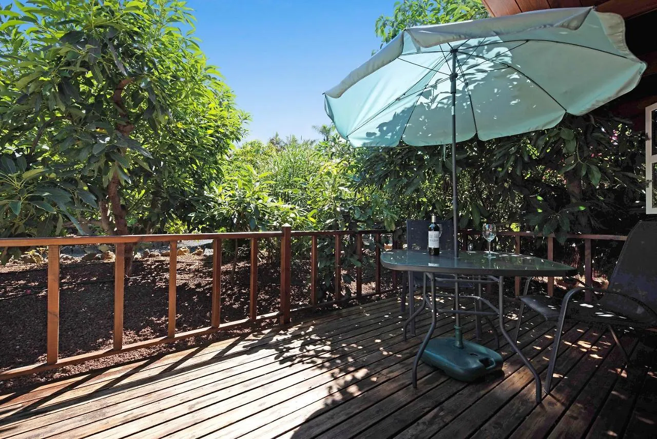 Cottage Hibiscus Among Avocados 라오로타바 스페인